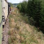 IMG_1286.jpeg
