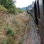 IMG_1296.jpeg