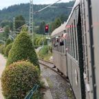 IMG_1313.jpeg