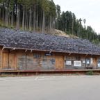 IMG_1335.jpeg
