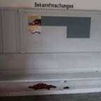 IMG_1340.jpeg