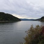 IMG_1341.jpeg