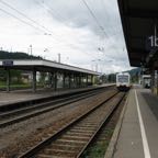 IMG_3231.JPG